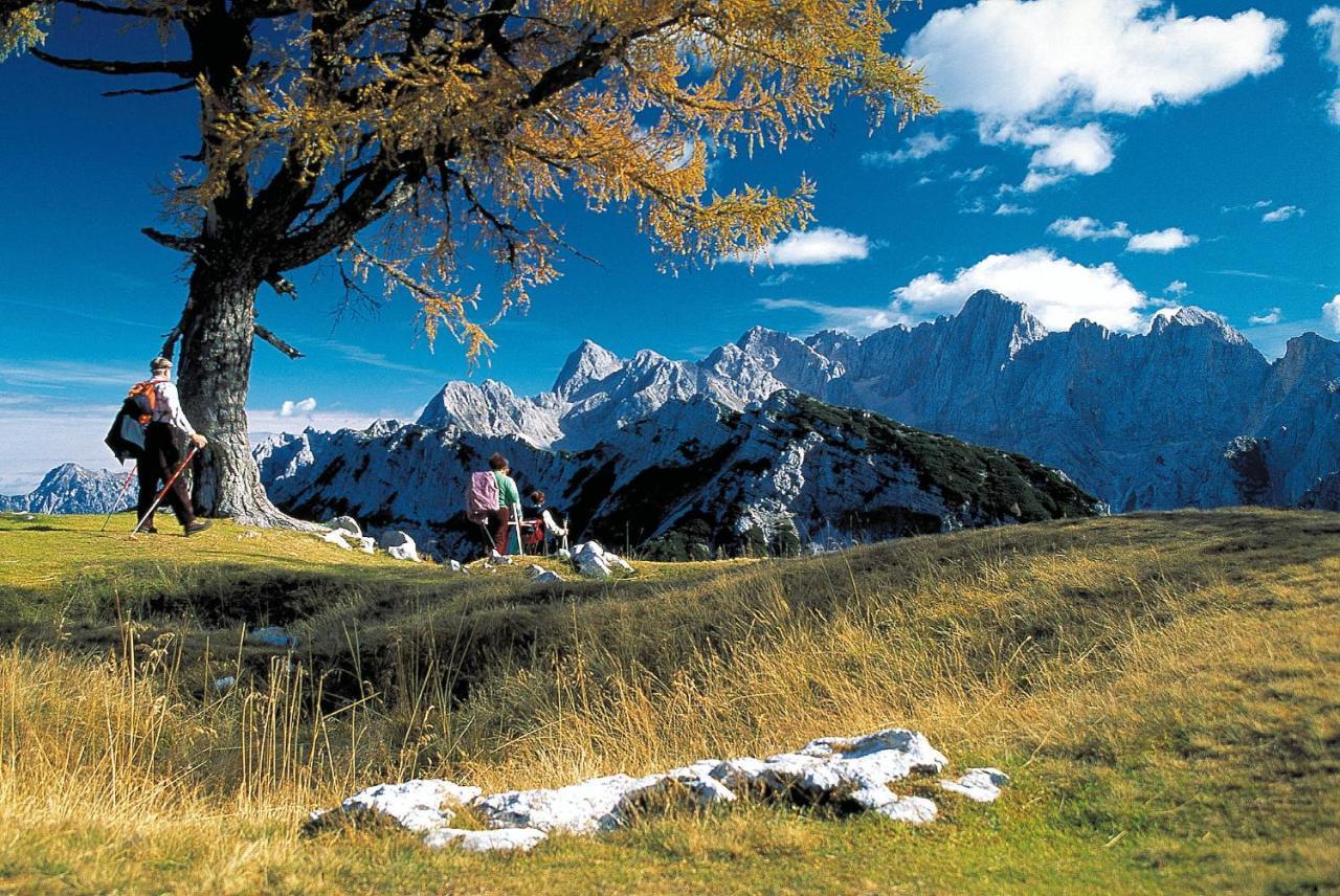 Kronau Chalet Resort Kranjska Gora Zewnętrze zdjęcie